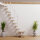 Platzsparende Mittelholmtreppe - Edge Plus